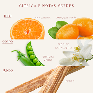 Espuma Cremosa de Banho Karité Kumquat 200ml